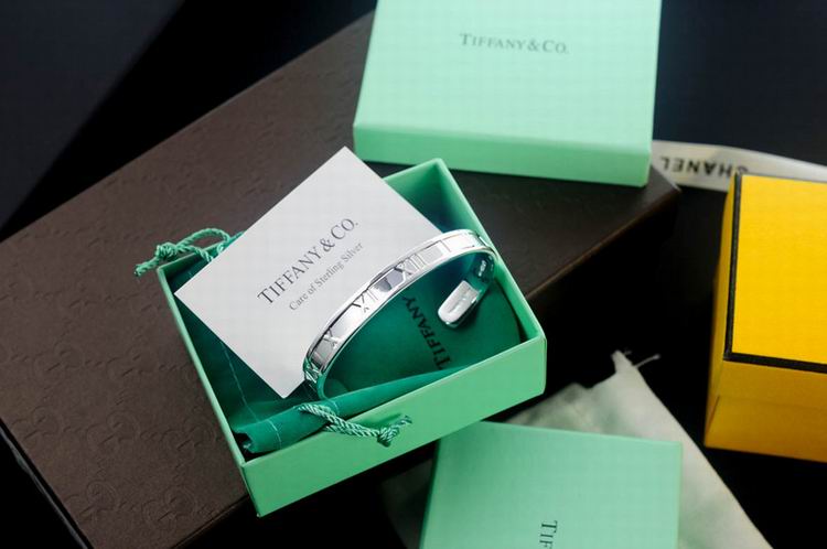 Tiffany&Co Bracelets 335